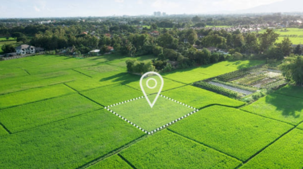 জমির মালিকানা প্রমাণের জন্য কোন কোন কাগজ লাগে