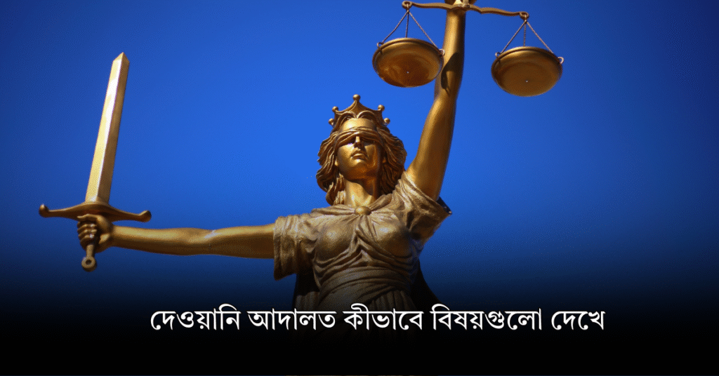 দেওয়ানি আদালত কীভাবে বিষয়গুলো দেখে