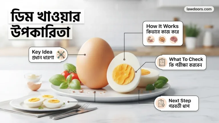 ডিম খাওয়ার উপকারিতা Best Guide Proven স্বাস্থ্য 2026