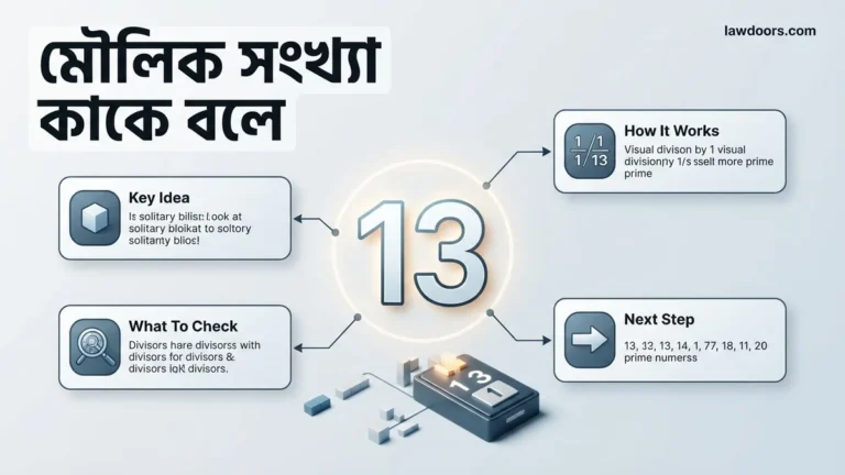 মৌলিক সংখ্যা কাকে বলে Guide ও সহজ উদাহরণ ২০২৬ 2026